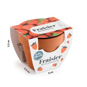 Mini kit Fraisier - Pot Terre Cuite - 6 cm